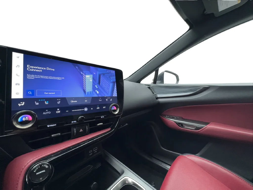 Lexus NX photo 48