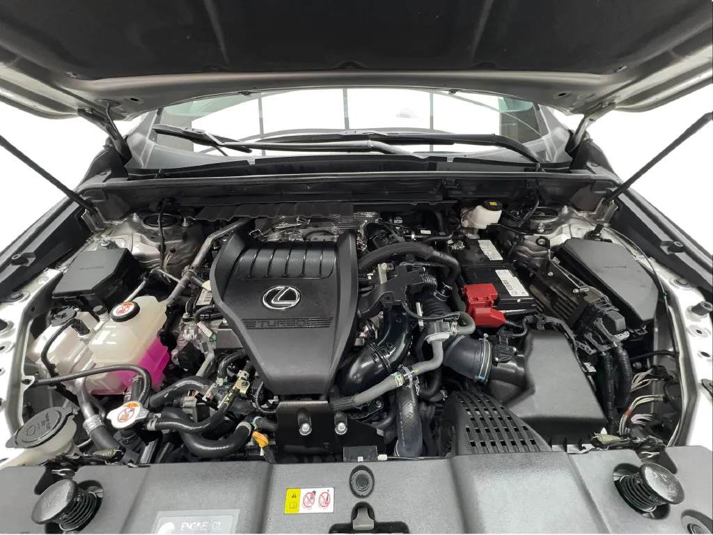 Lexus NX photo 20