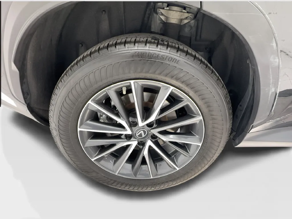 Lexus NX photo 16