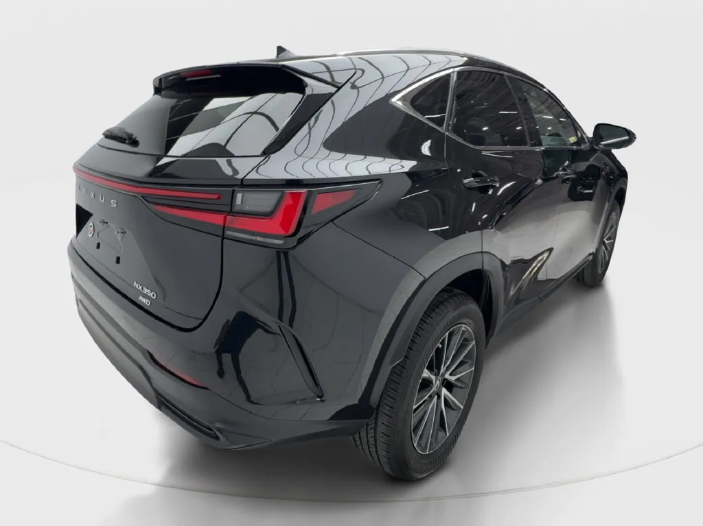 Lexus NX photo 8