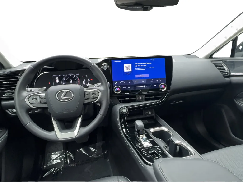 Lexus NX photo 36