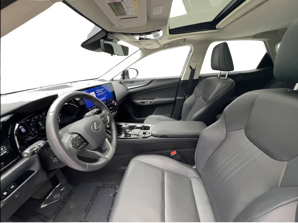 Lexus NX photo 22