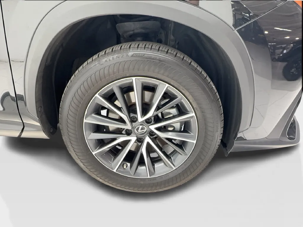 Lexus NX photo 15