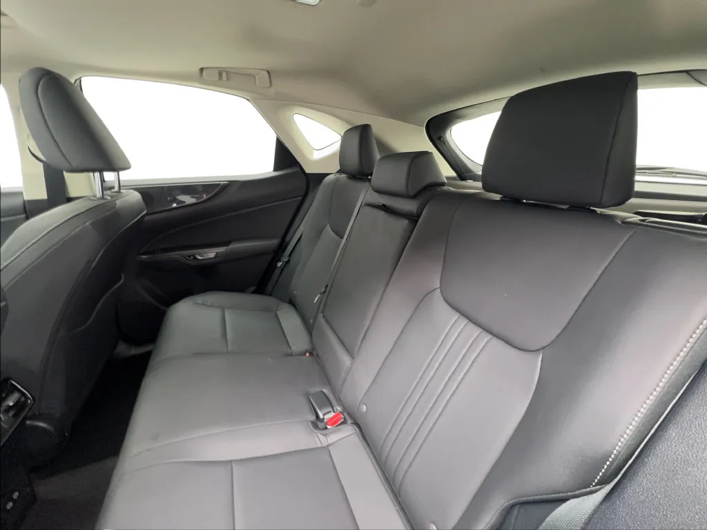 Lexus NX photo 27