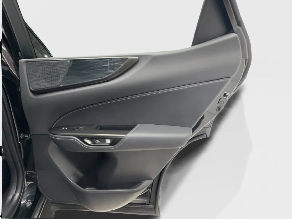 Lexus NX photo 30
