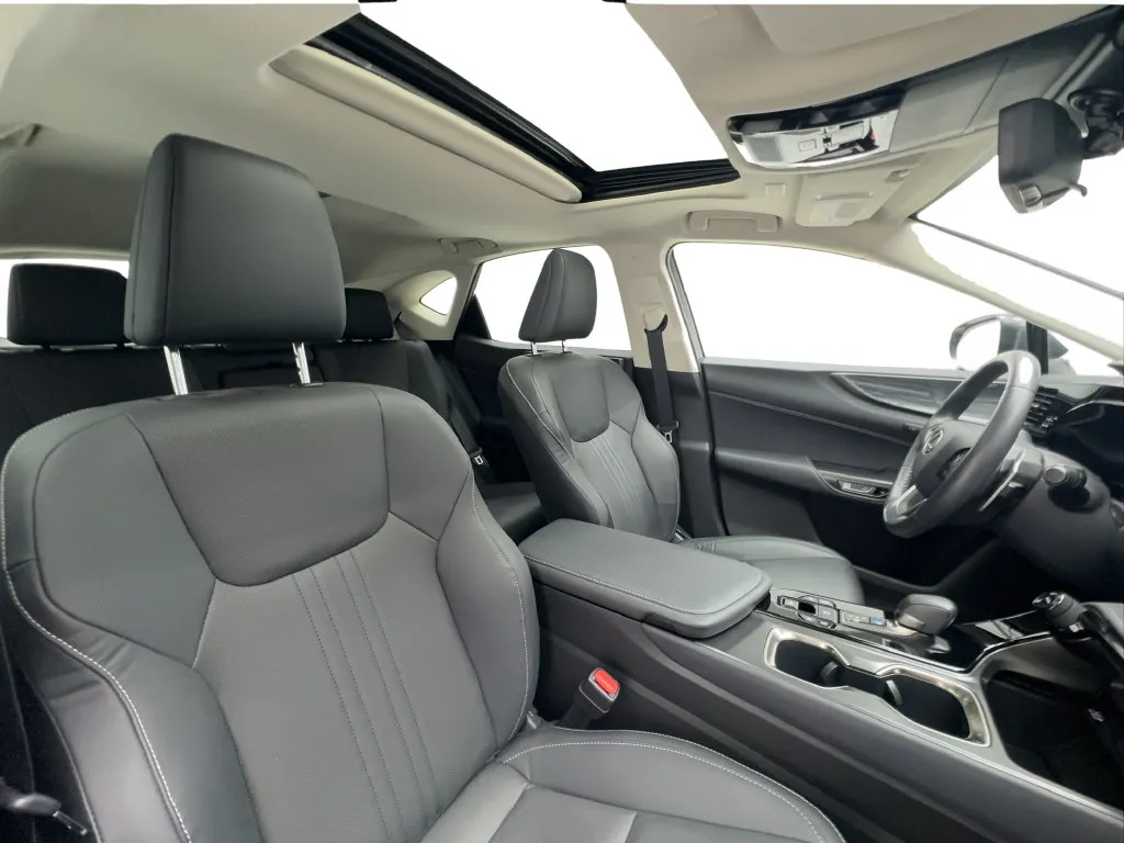 Lexus NX photo 32