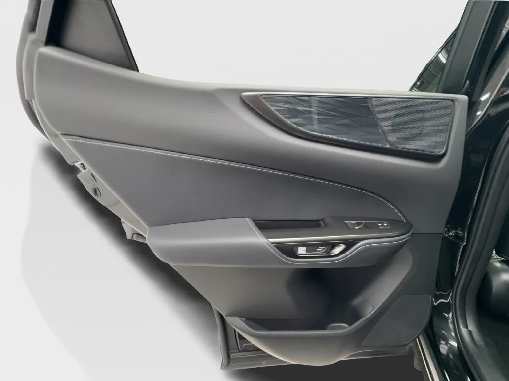 Lexus NX photo 28