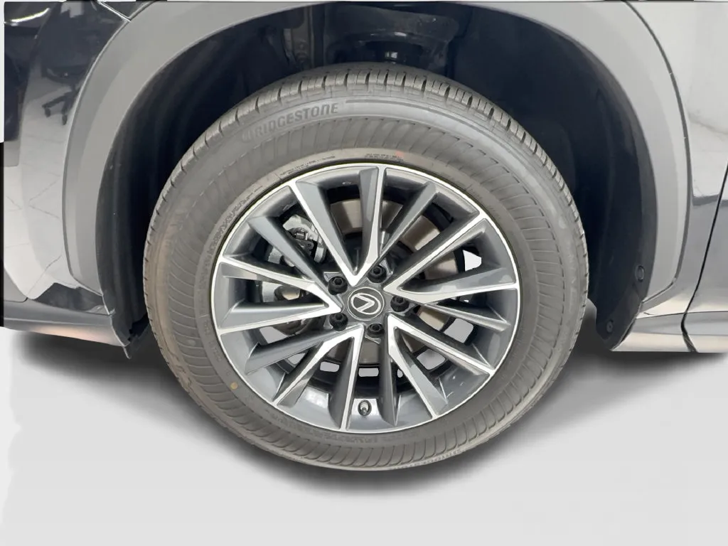 Lexus NX photo 14