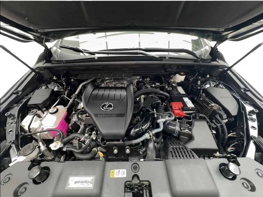Lexus NX photo 19