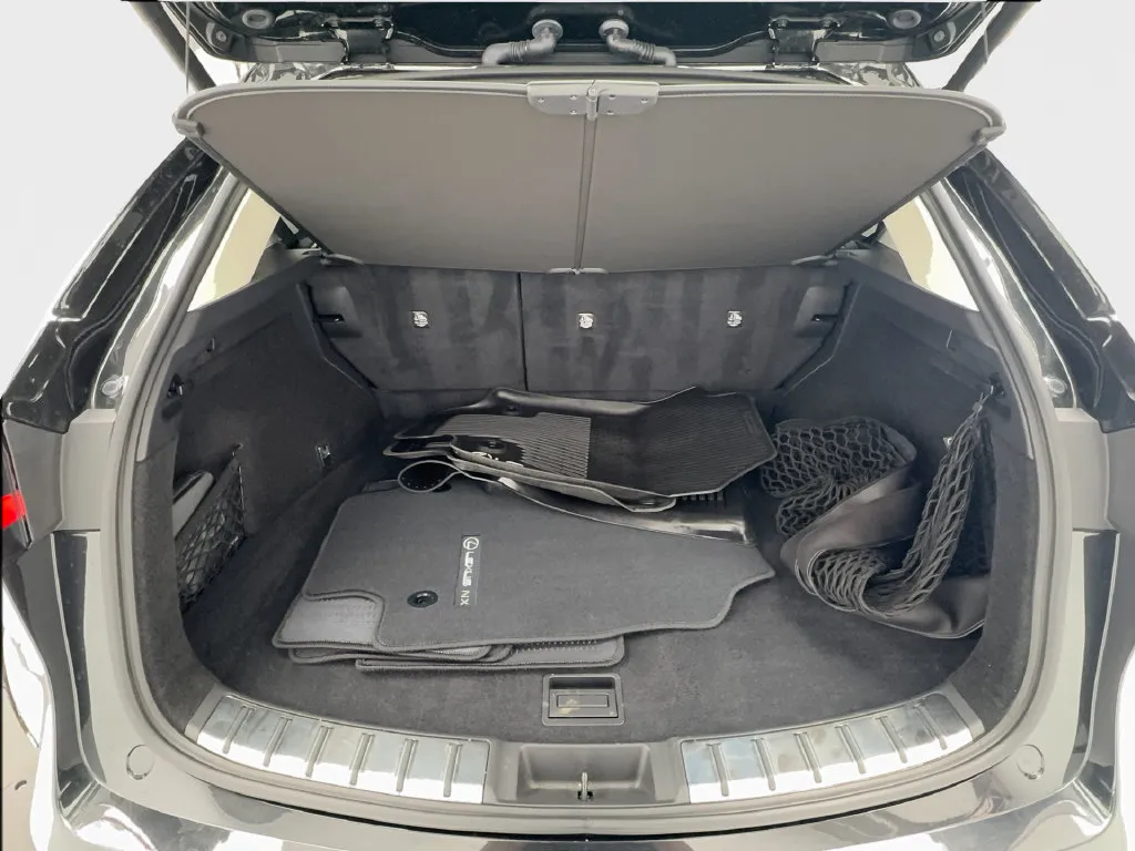 Lexus NX photo 18