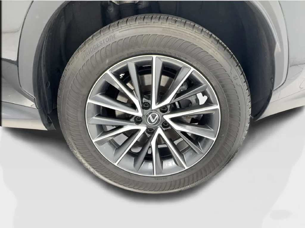 Lexus NX photo 12