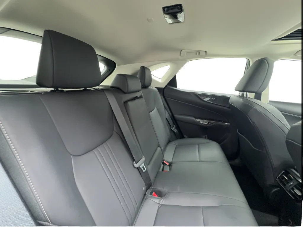 Lexus NX photo 29