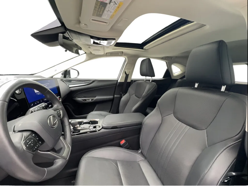Lexus NX photo 21