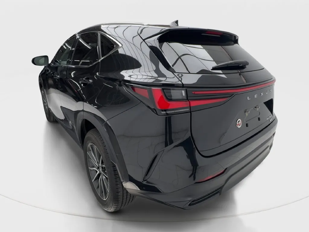 Lexus NX photo 11