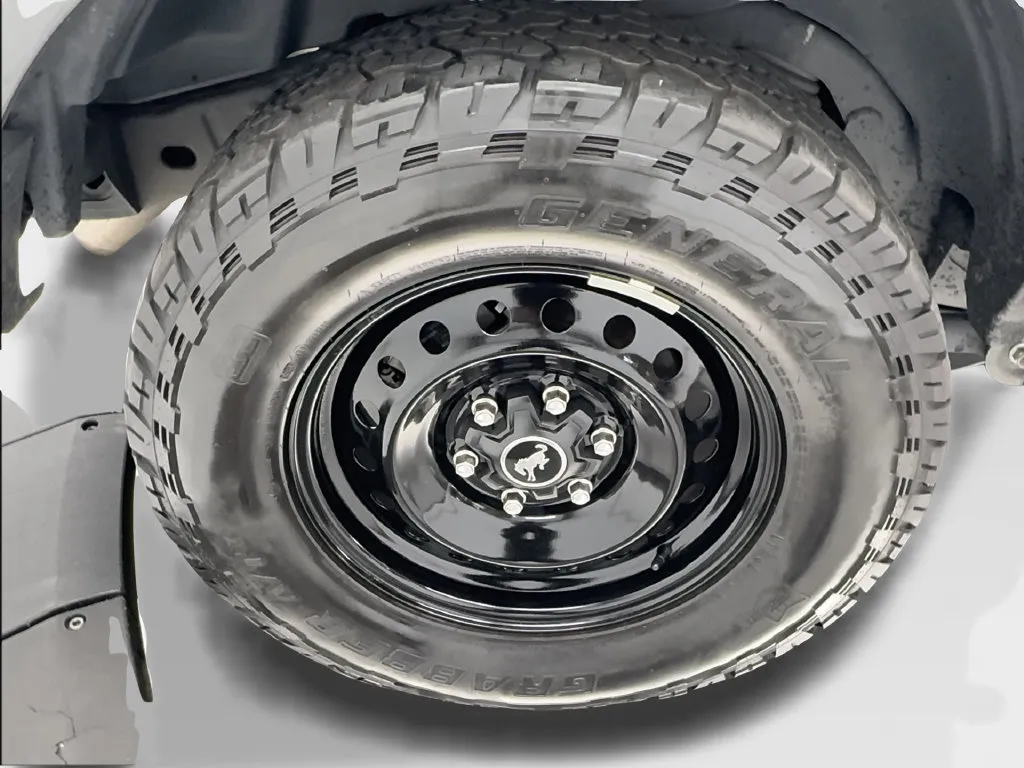 Ford Bronco photo 16