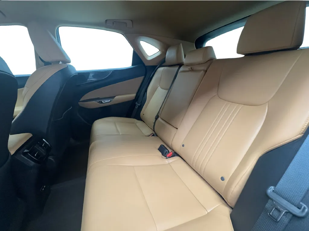 Lexus NX photo 25