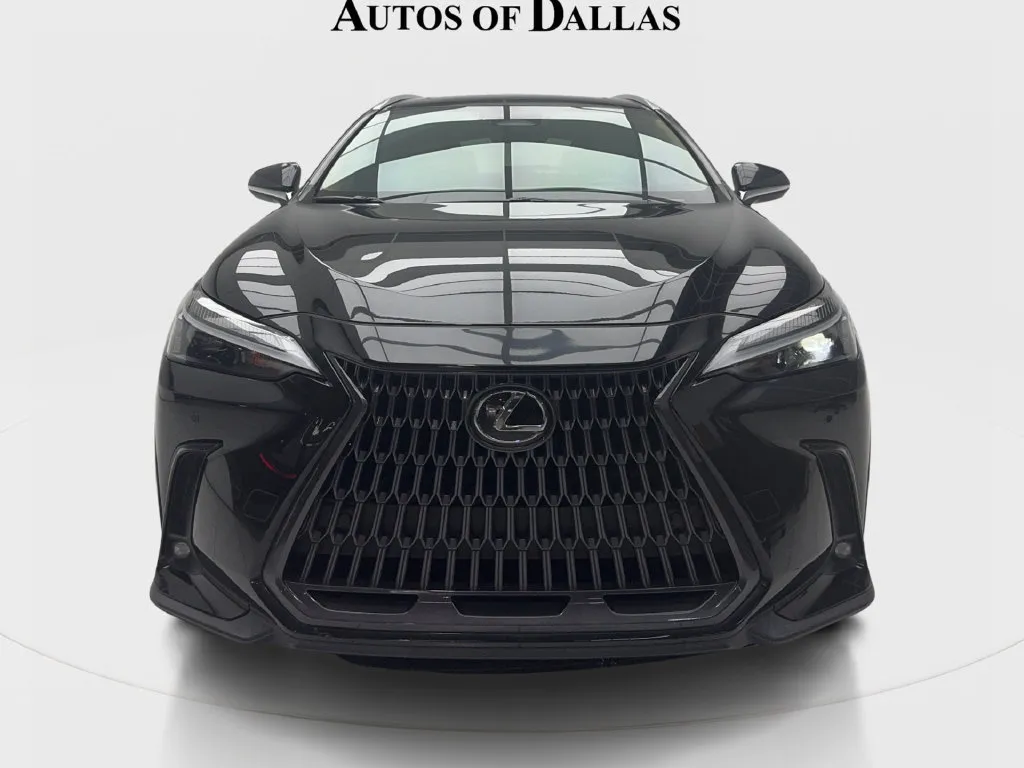 Lexus NX photo 3