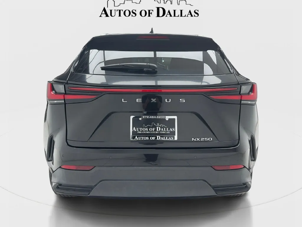 Lexus NX photo 8