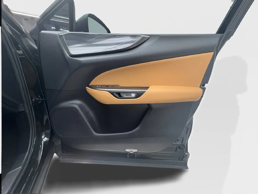 Lexus NX photo 33