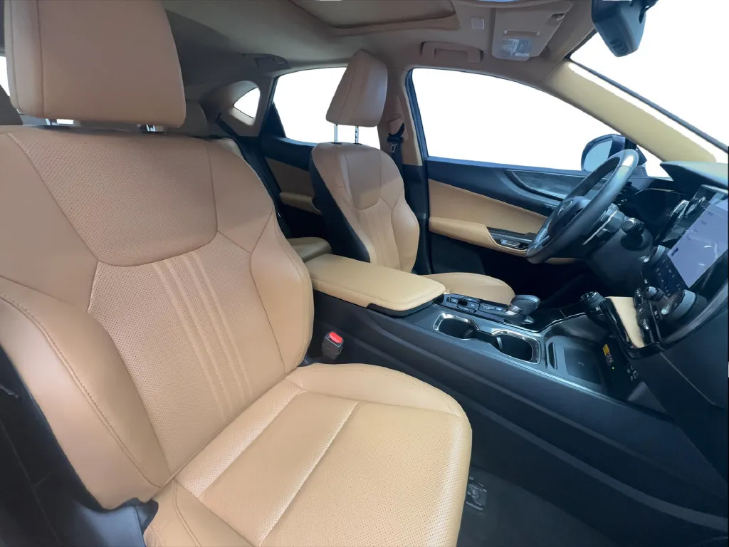Lexus NX photo 32