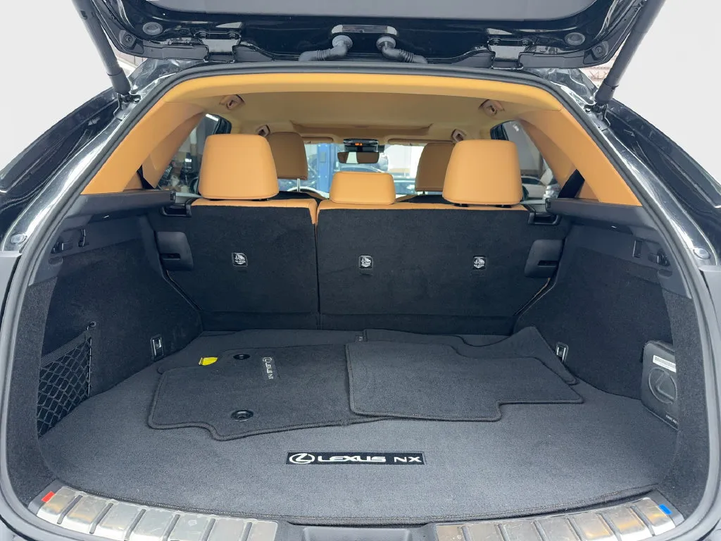 Lexus NX photo 18