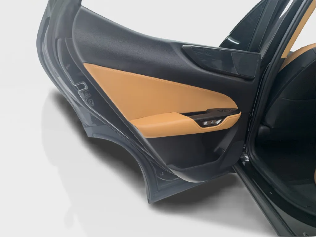 Lexus NX photo 26