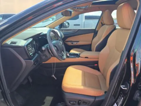 More photos of 2023 Lexus NX 250 Premium at Autos of Dallas - Plano, TX