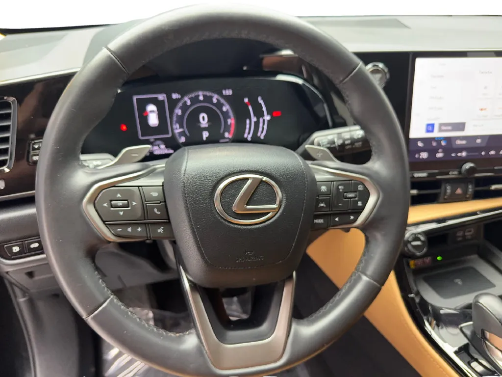 Lexus NX photo 47