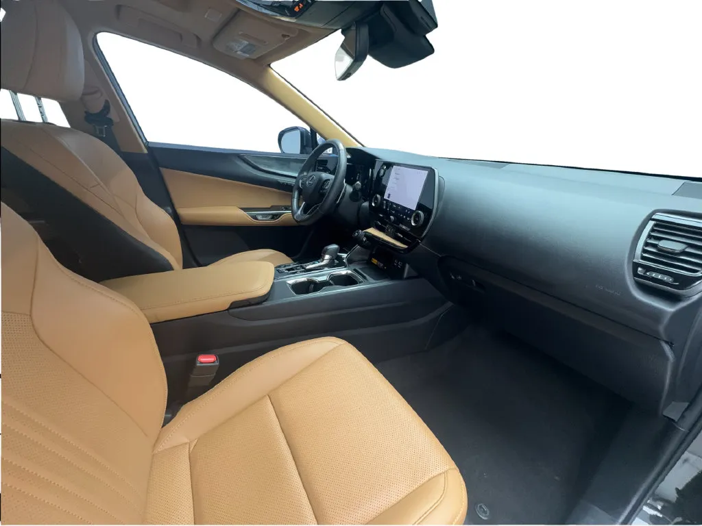 Lexus NX photo 30