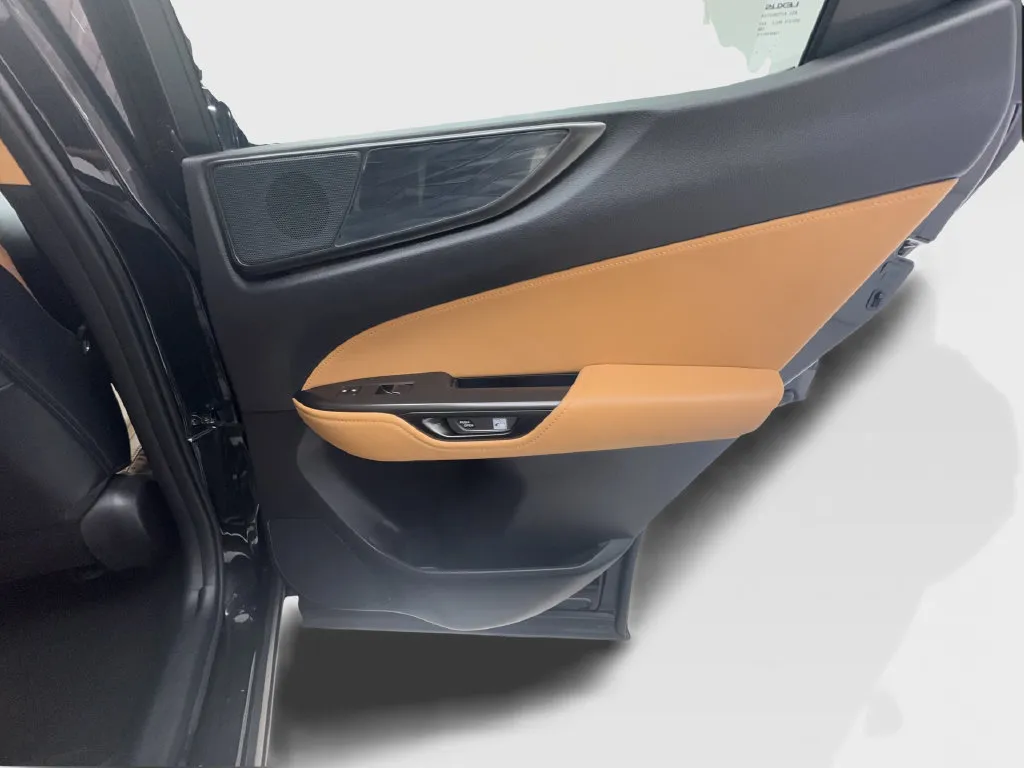 Lexus NX photo 29