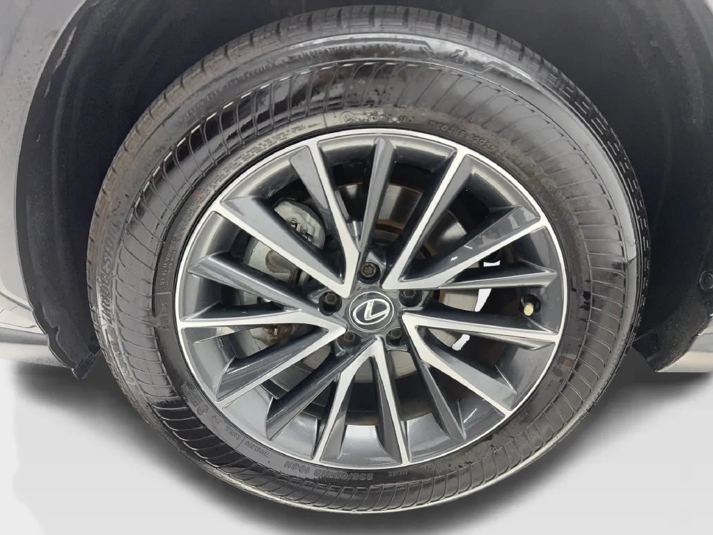Lexus NX photo 12