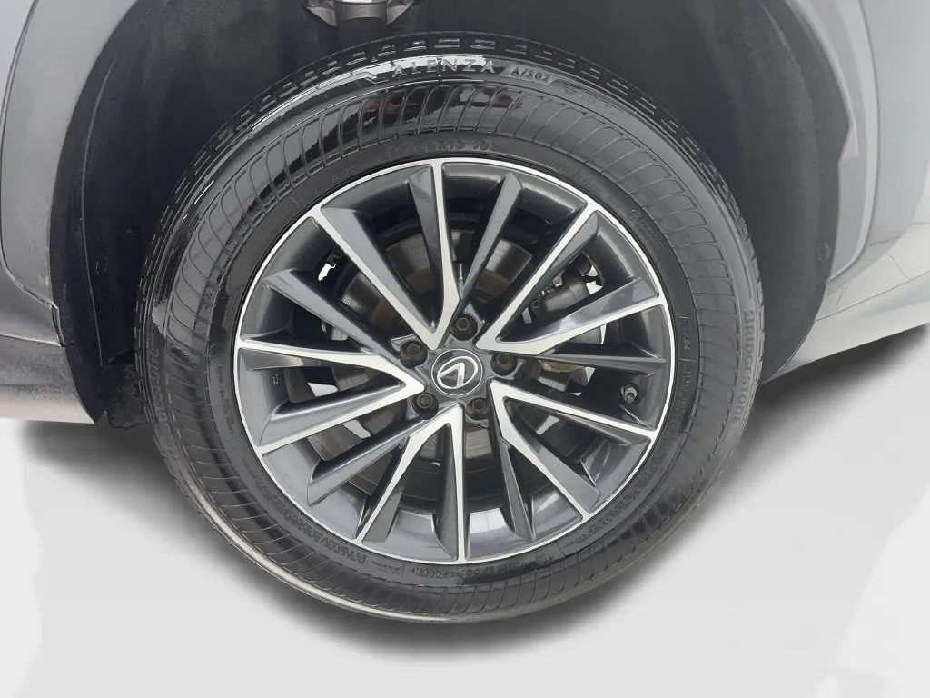 Lexus NX photo 14