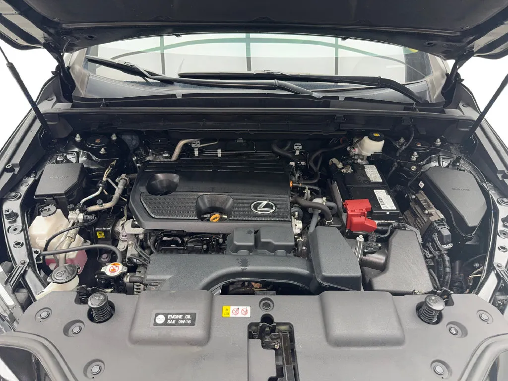 Lexus NX photo 19