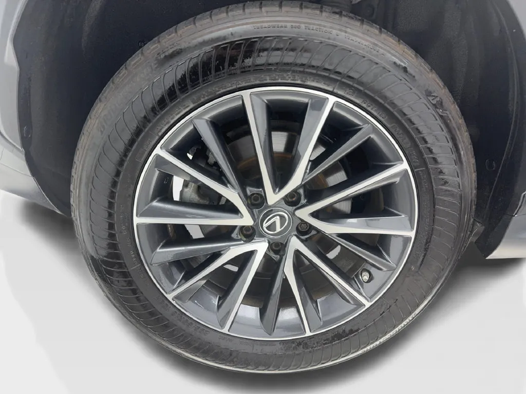 Lexus NX photo 15