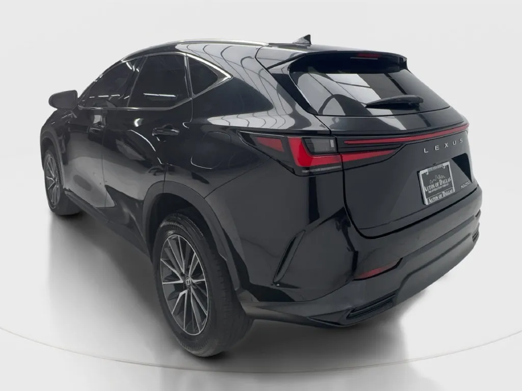 Lexus NX photo 10