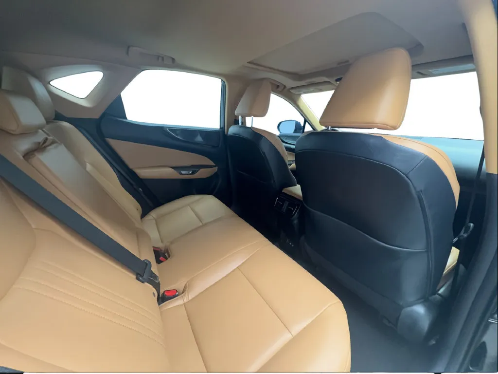 Lexus NX photo 27