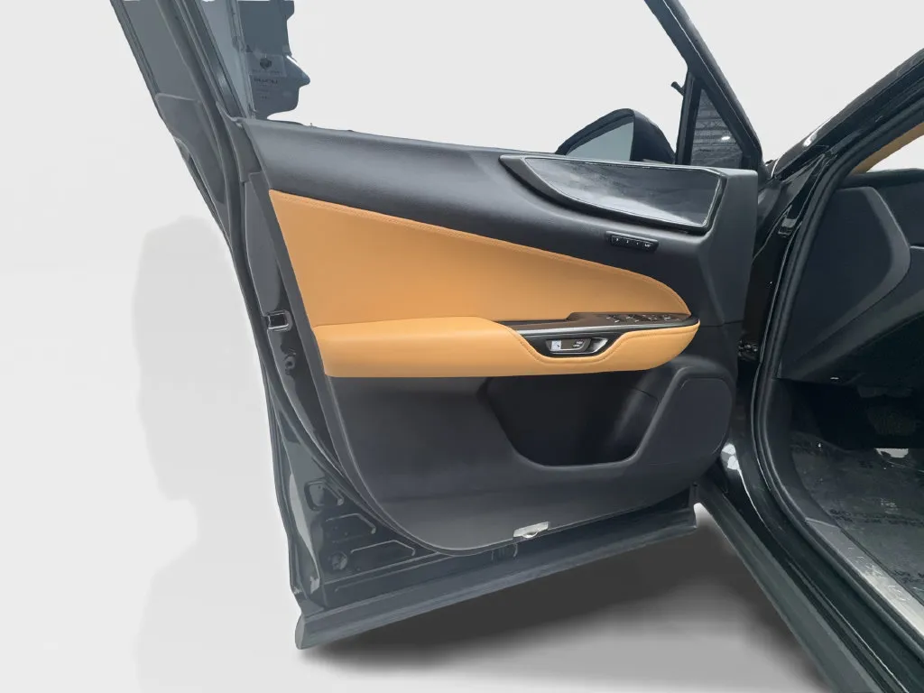 Lexus NX photo 22