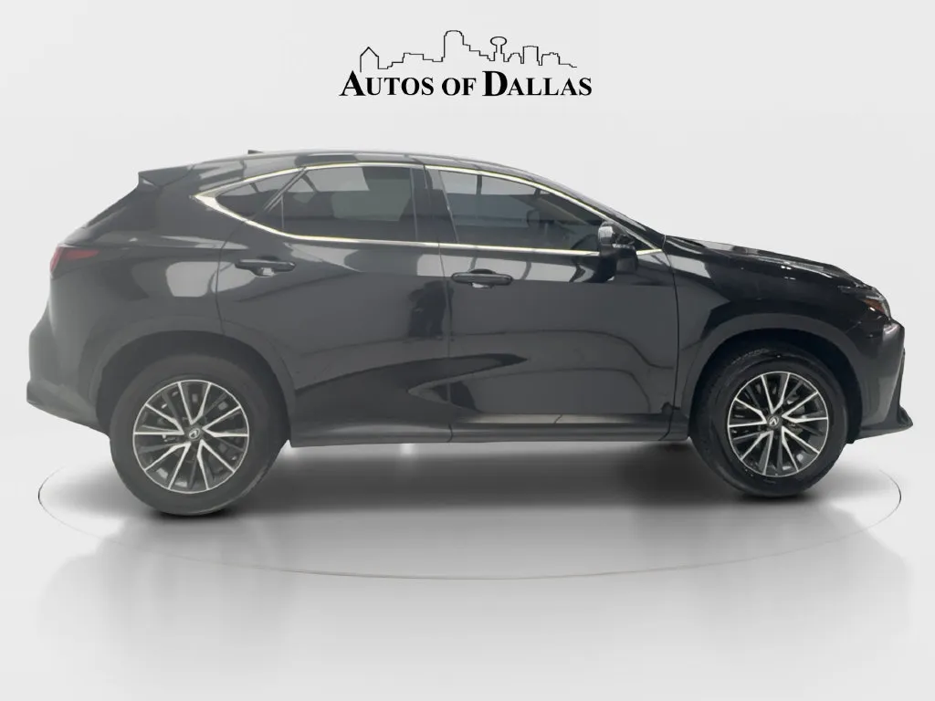 Lexus NX photo 6