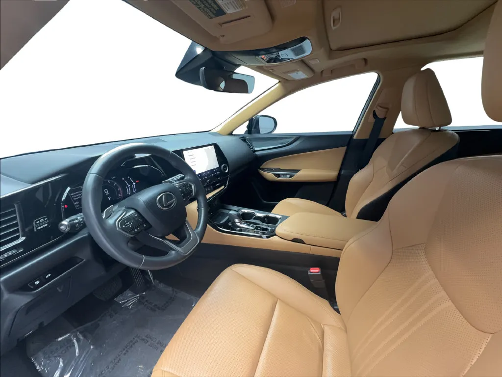 Lexus NX photo 20