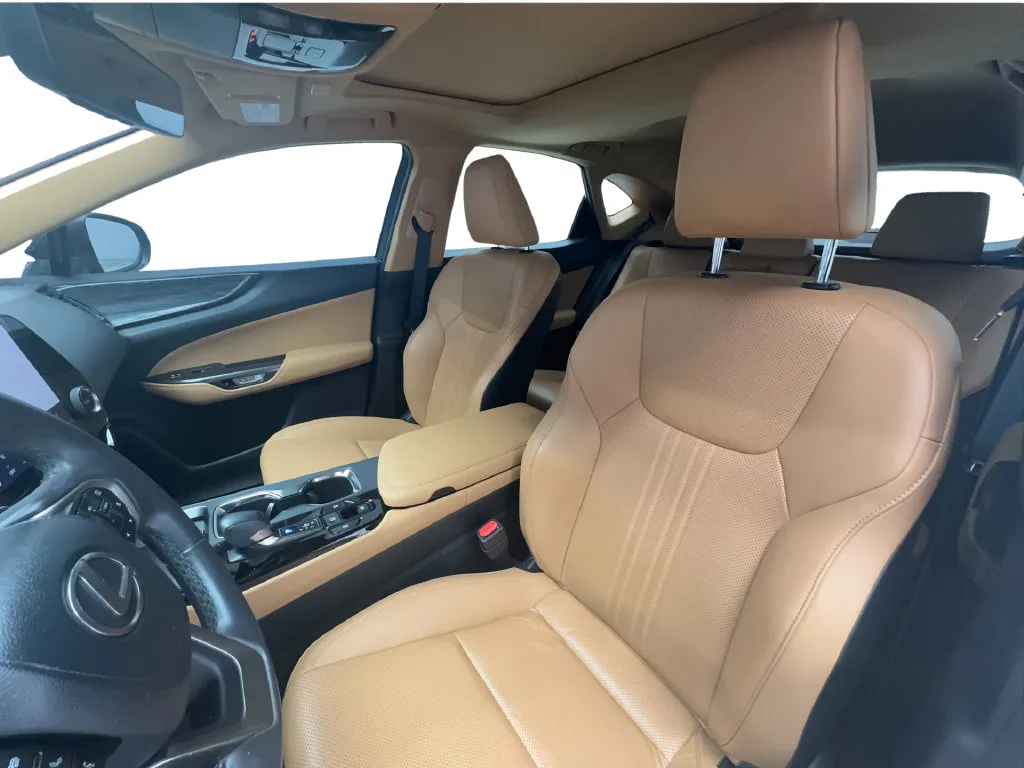 Lexus NX photo 21