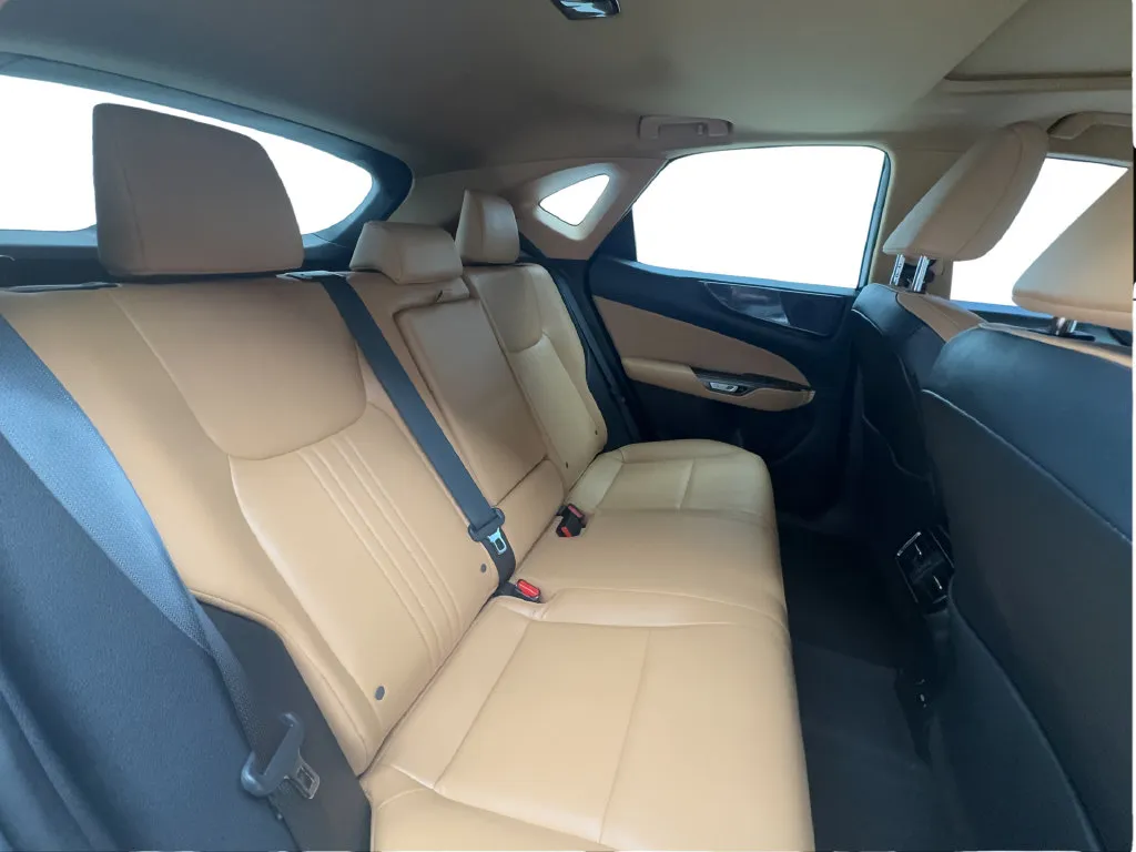 Lexus NX photo 28