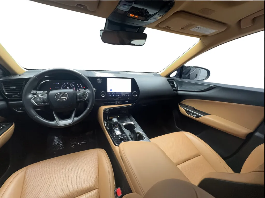 Lexus NX photo 35
