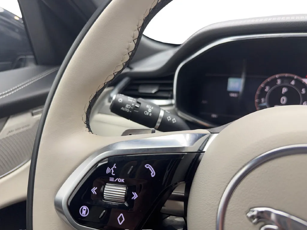 Jaguar F-PACE photo 40