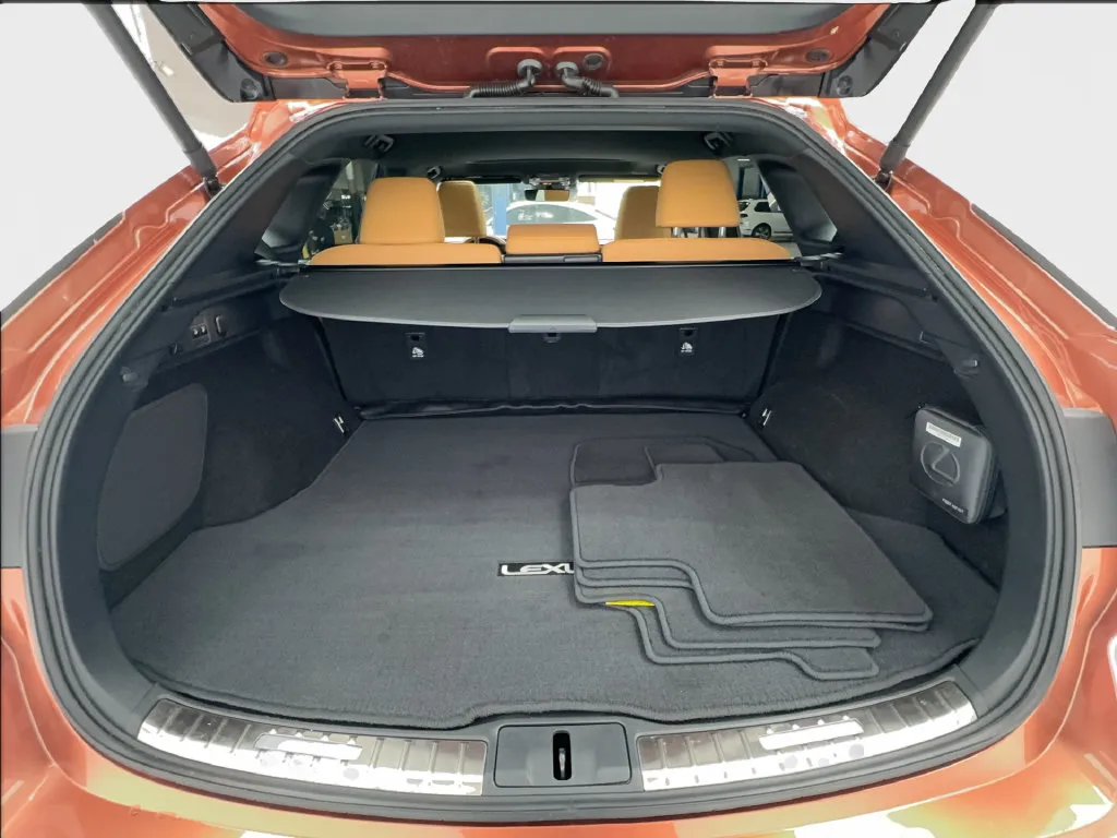 Lexus RX photo 19