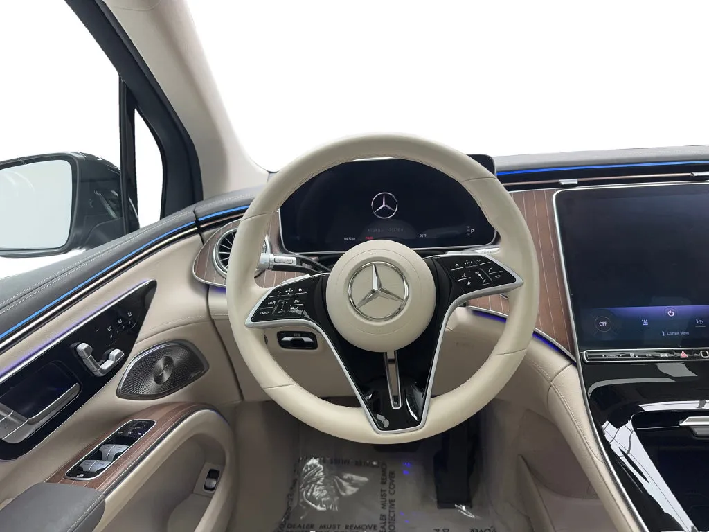 Mercedes-Benz EQS photo 22