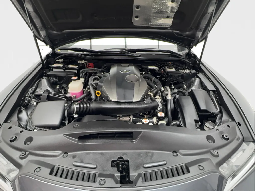 Lexus IS photo 19