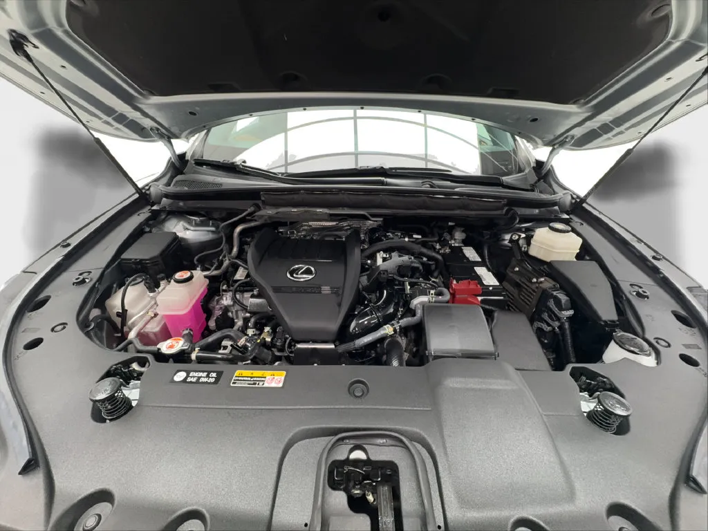 Lexus RX photo 19