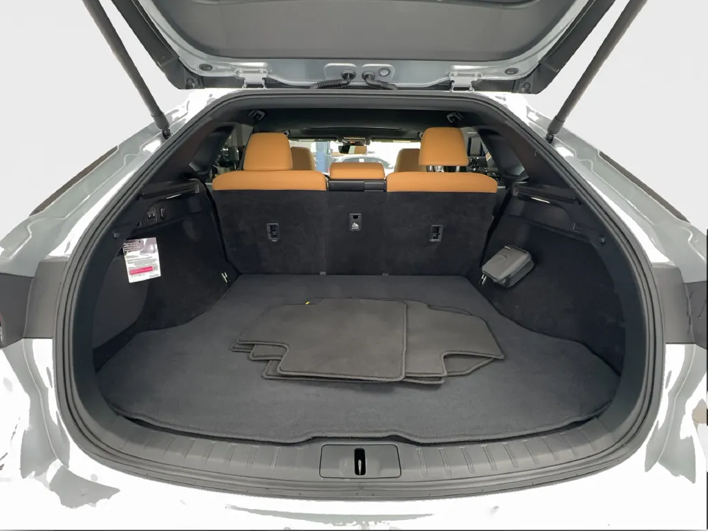 Lexus RX photo 18