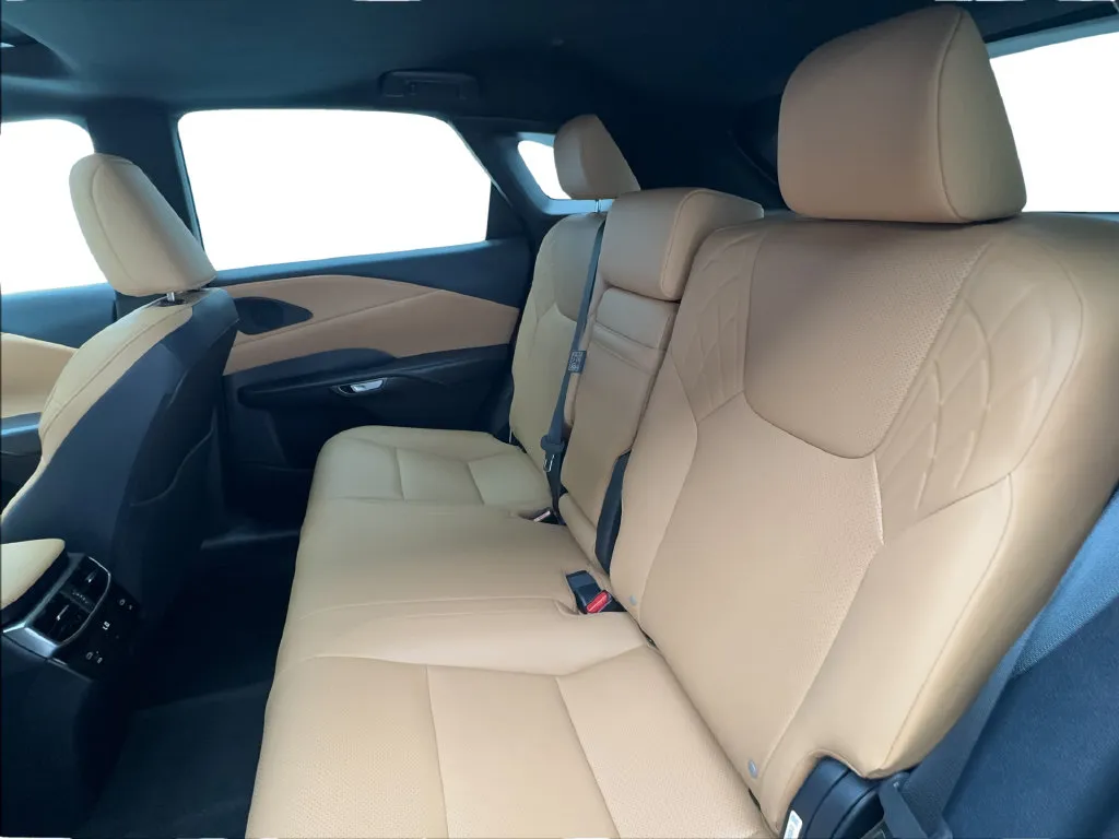 Lexus RX photo 26