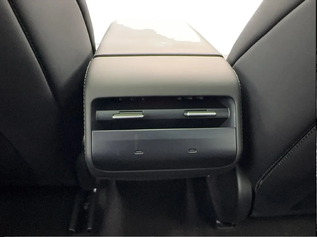 Tesla Model 3 photo 18